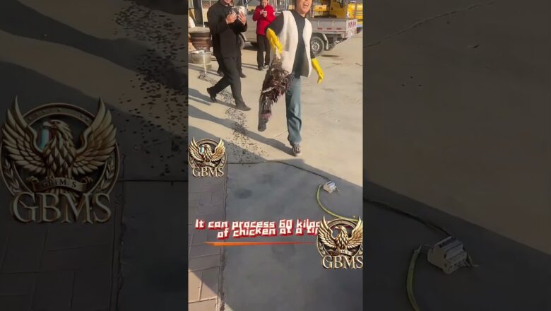 #gadgets #ideas #ecommerce #alibaba