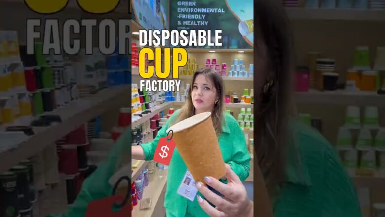 Direct Supplier in China, Factory Price, Perfect E-Commerce Business Idea 🚀